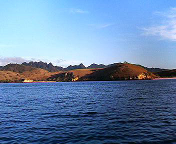 �R���h���t��