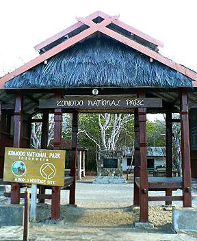 �R���h�������